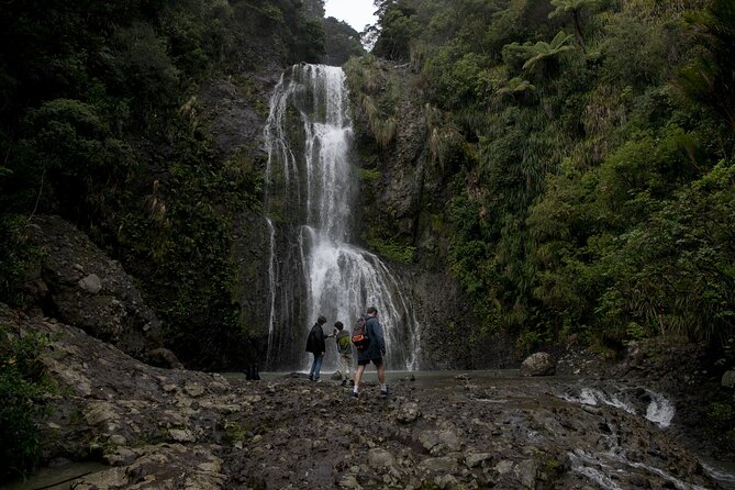 Explore BLACK SAND PIHA BEACH, and Water Falls in West Auckland - The 4-Hour Rhythm: Pickup, Vehicle Comfort, and Group Size