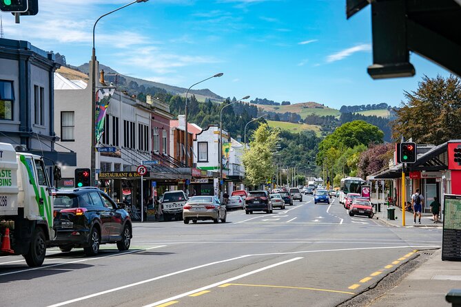 Explore Dunedin: Self-Guided Audio Tour Adventure - Key highlights you will feel right away