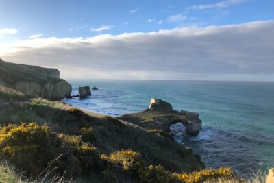 Explore Dunedin: Self-Guided Audio Tour Adventure