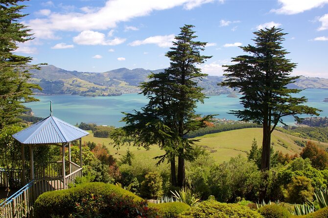 Explore Dunedin: Self-Guided Audio Tour Adventure - Timing that actually works: 2 hours of audio, up to a full walking block