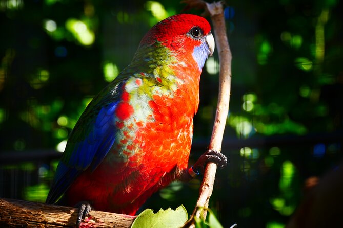 Explore gardens & galleries filled with incredible art, Matakana - Outdoor sculpture gardens: playful creatures and real materials