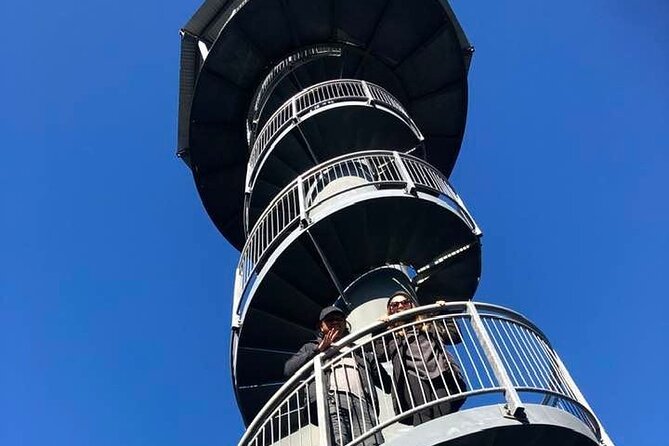 Explore Hokitika Gorge and Tree Top Walkway - Small-Group Comfort, Private Transport, and Guide Energy