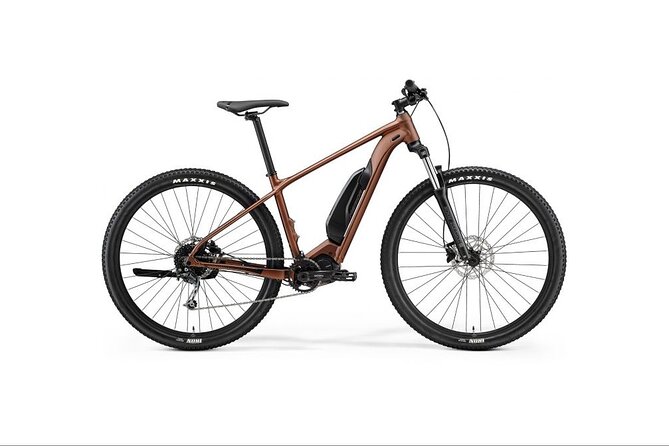 Explore Queenstown's Scenic Trails with an Electric Bike - Frankton and Lake Wakapitu: an easier scenic direction
