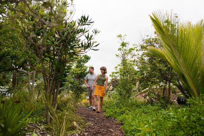 Explore the legacy of artist, ecologist, architect, visionary - Self-guide versus the 1-hour interactive guided tour