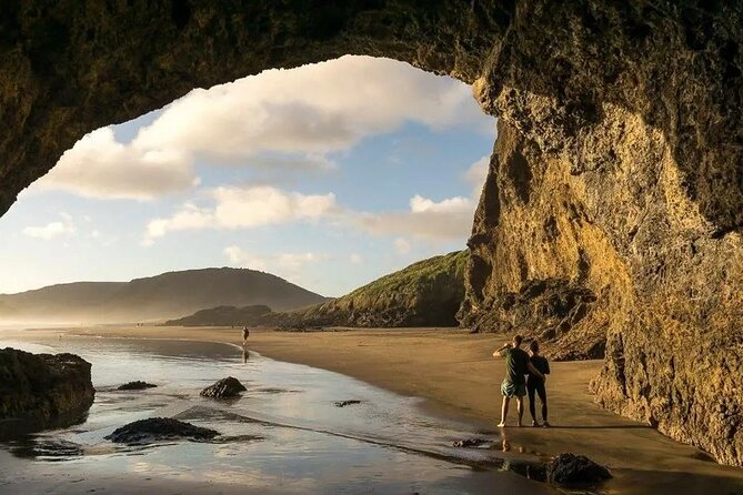 Explore West Auckland with Winery - Key Points to Know Before You Go