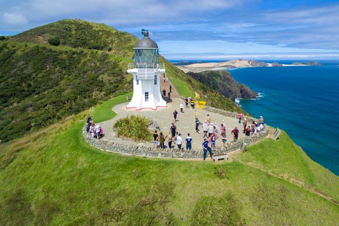 Far North New Zealand Tour Including 90 Mile Beach and Cape Reinga from Paihia - Key highlights to look for