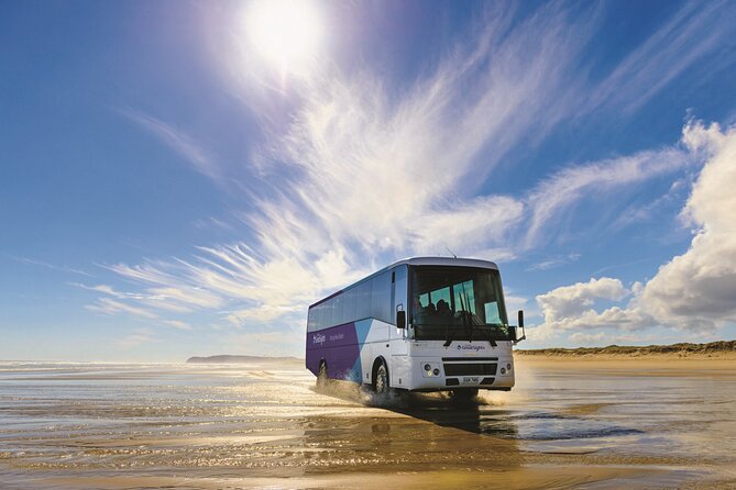 Far North New Zealand Tour Including 90 Mile Beach and Cape Reinga from Paihia - Paihia 7:00am start, long-drive reality, and how to stay comfy
