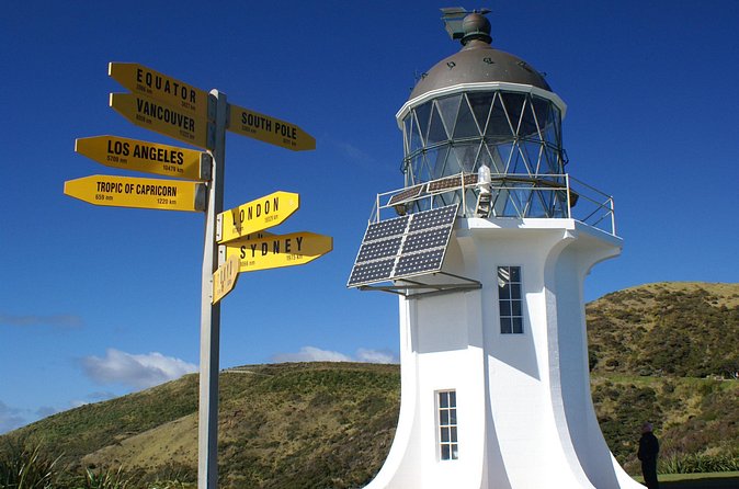 Far North New Zealand Tour Including 90 Mile Beach and Cape Reinga from Paihia - Te Paki Sand Dunes: the dunes stop where flexibility pays off