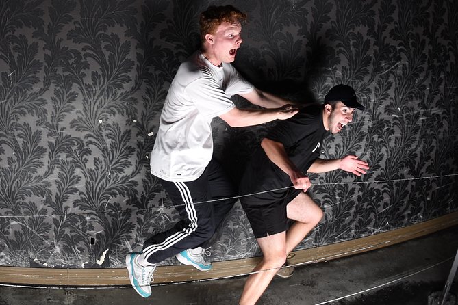 Fear Factory Queenstown - Staff and Service: Why the Reviews Feel Consistent