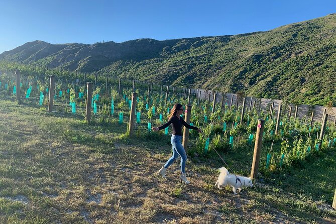 Flavours of Waiheke, wine, beer, spirits INCLUDES lunch - MAX 11 - Batch Winery Lunch: An Award-Winning Restaurant With Views