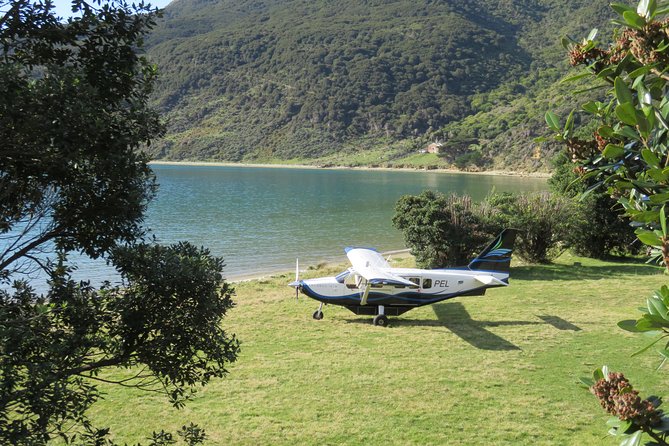 Flight Experience our Water and Wilderness Scenic Tour - Remote Outer Sounds landing: 20 minutes on the beach