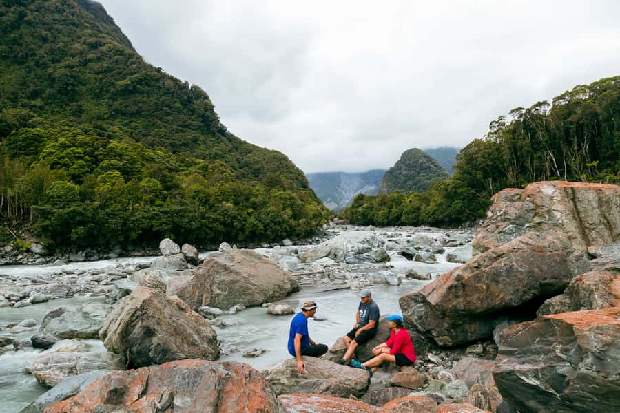 Fox Glacier: Half Day Walking & Nature Tour with Local Guide - Westland Tai Poutini Rainforest: The Walk You’ll Remember Most