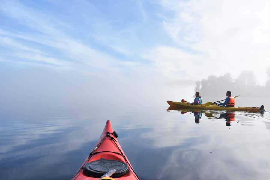Franz Josef: 3-Hour Kayak Tour on Lake Mapourika - Key Things That Make This Tour Worth It