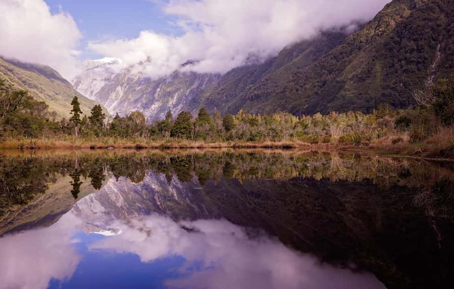 Franz Josef: Franz Josef Glacier Lookout Guided Walk - Why a guided glacier valley walk beats a quick lookout stop