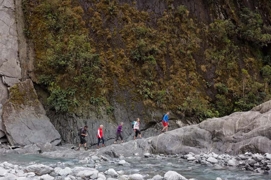 Franz Josef: Franz Josef Glacier Lookout Guided Walk - River bends and valley floor time: where the scenery becomes a story