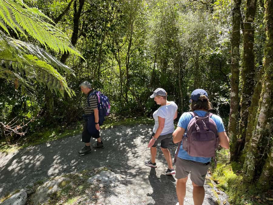 Franz Josef: Franz Josef Glacier Lookout Guided Walk - The tea-and-gear setup that makes rainy weather tolerable