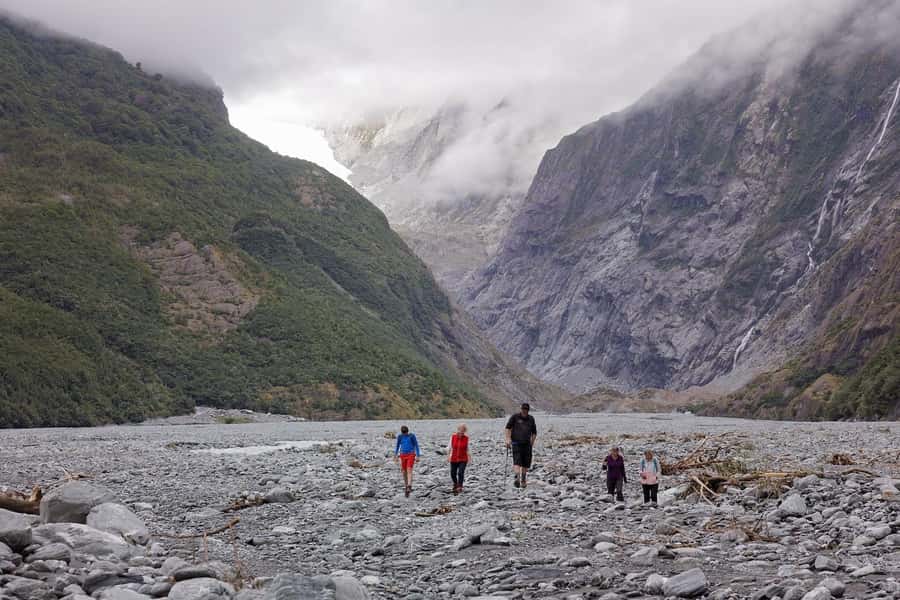 Franz Josef: Franz Josef Glacier Lookout Guided Walk - The rainforest start: podocarp trees, bird songs, and waterfall sounds