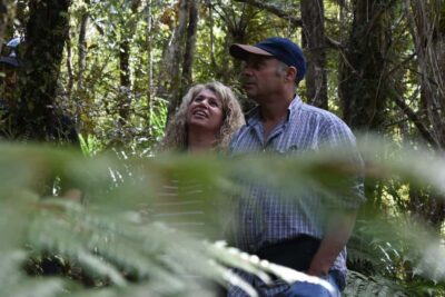Franz Josef Glacier: 2.5-Hour Lake Mapourika Cruise and Walk