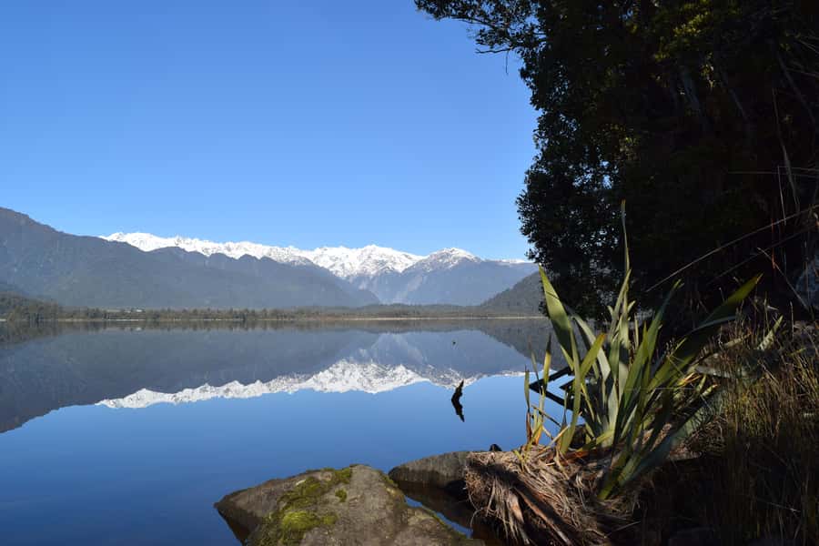 Franz Josef Glacier: 2.5-Hour Lake Mapourika Cruise and Walk - The Tea, Coffee Stop at the Lookout: A Small Pause That Feels Big