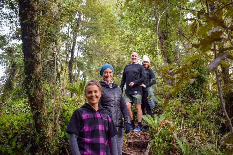Franz Josef Glacier: 2.5-Hour Lake Mapourika Cruise and Walk - Should You Book This Franz Josef Glacier Area Tour?