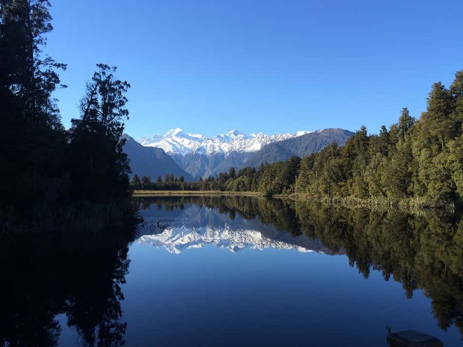 Franz Josef: Half-Day Nature Tour to Lake Matheson - From Franz Josef to Lake Matheson, without a headache
