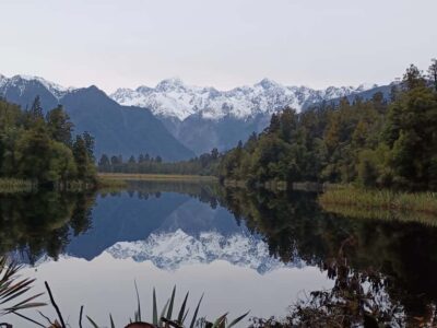 Half-Day Nature Tour to Lake Matheson