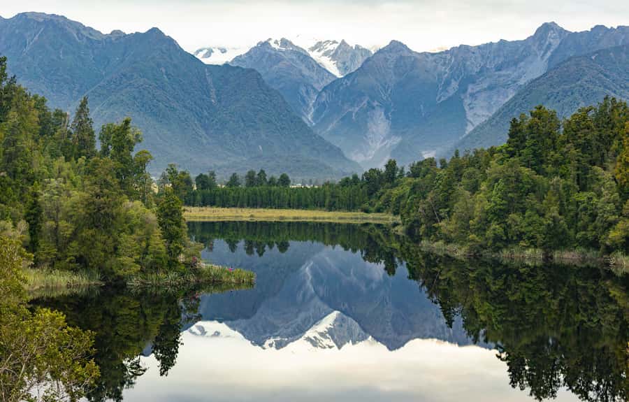 Franz Josef: Half-Day Nature Tour to Lake Matheson - What you might spot beyond the mountains