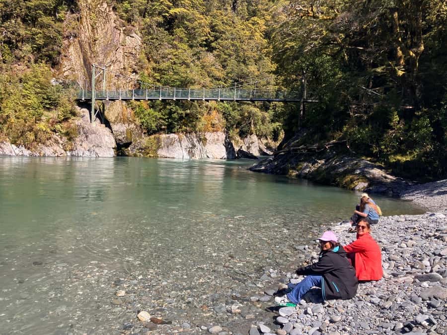 Franz Josef to Queenstown small group tour (One-Way) - Bruce Bay and Ship Creek: where the rainforest meets the ocean