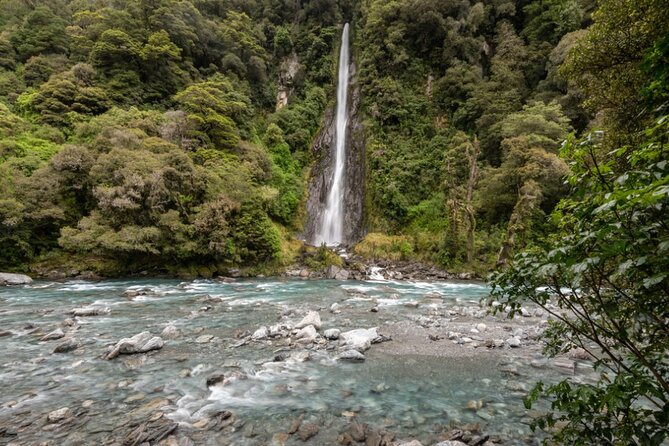 Franz Josef to Queenstown Small Group Tour via Wanaka 1 -Way - Ship Creek: native rainforest meeting Tasman Sea power