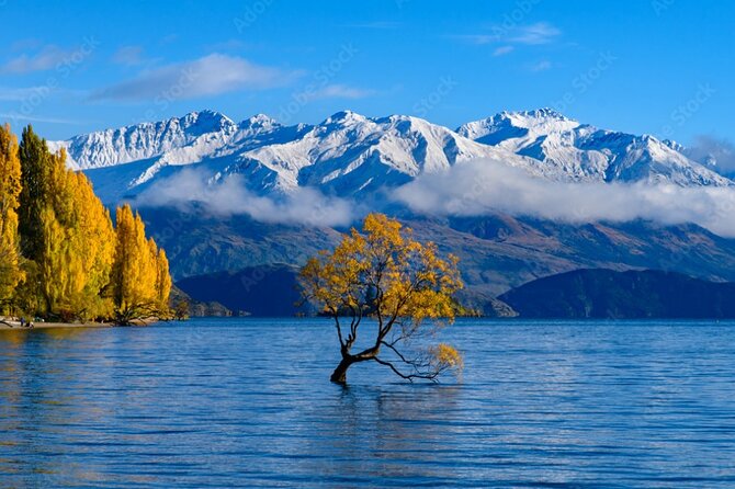 Franz Josef to Queenstown Small Group Tour via Wanaka 1 -Way - Crown Range Road and the Cardrona Hotel stop on the way