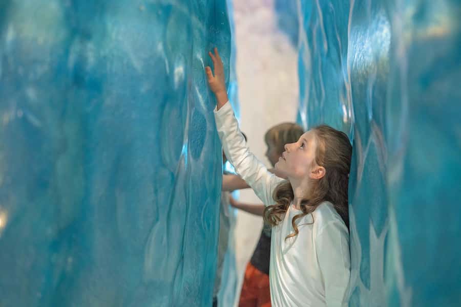 Franz Josef: West Coast Wildlife Centre Entry Ticket -48 hrs - The staff and the pace: what to expect from the human side