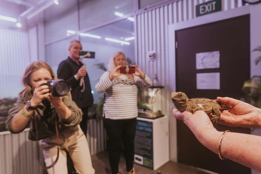 Franz Josef: West Coast Wildlife Centre Entry Ticket -48 hrs - Where Franz Josef’s wildlife center fits into your West Coast trip