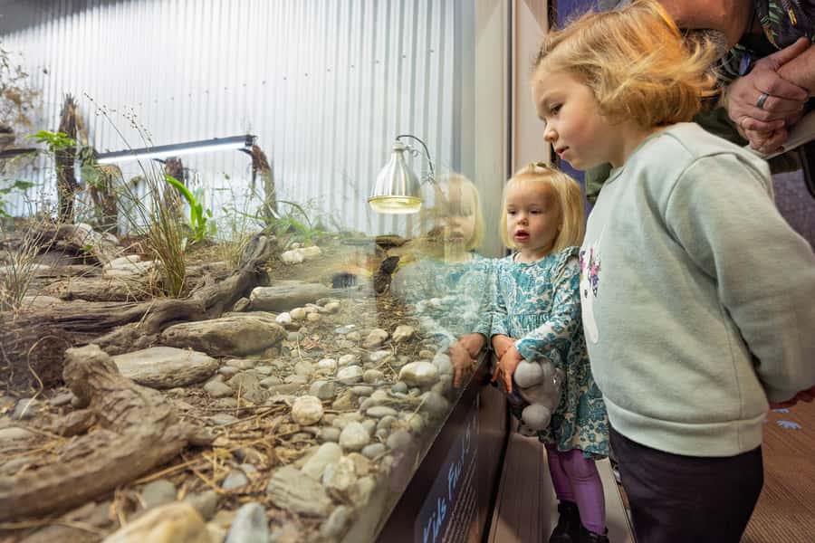 Franz Josef: West Coast Wildlife Centre Entry Ticket -48 hrs - Pricing and value: is $38 per person fair?