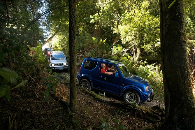 Freak of Nature at Off Road NZ - The 4WD Bush Safari: drive yourself on native forest routes
