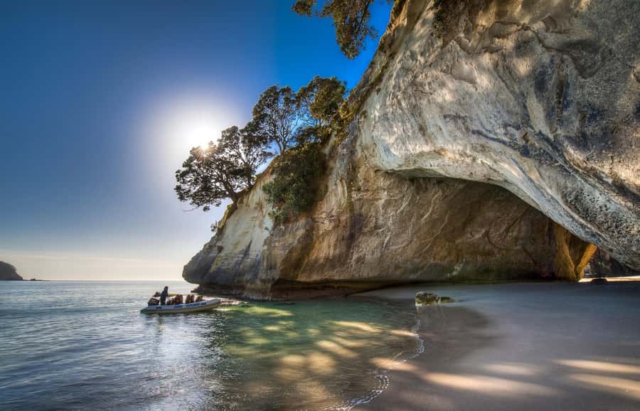 From Auckland: Cathedral Cove & Hot Water Beach Tour - Key things to know before you go