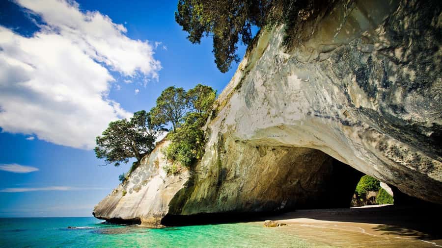 From Auckland: Cathedral Cove & Hot Water Beach Tour - Coromandel Peninsula in one 10-hour day from Auckland