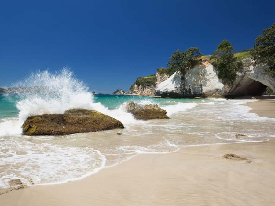 From Auckland: Cathedral Cove & Hot Water Beach Tour - Hot Water Beach spa time, tide rules, and what you can control