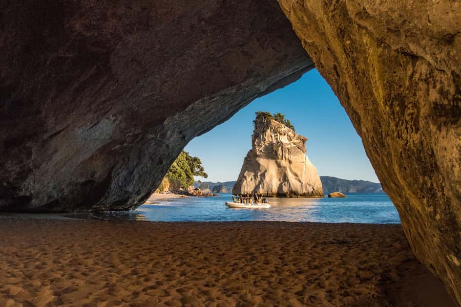 From Auckland: Cathedral Cove & Hot Water Beach Tour - The van ride, the guide, and what “small group” actually means