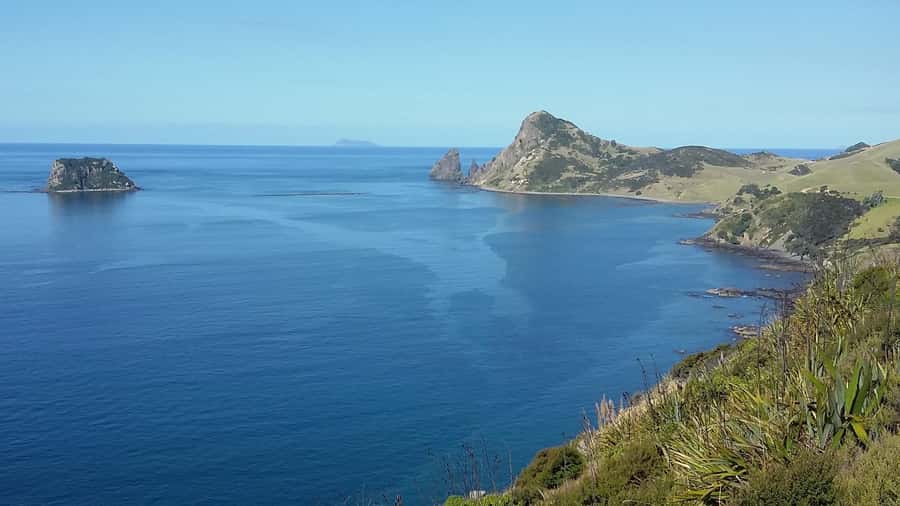From Auckland: Cathedral Cove & Hot Water Beach Tour - Should you book this Auckland to Cathedral Cove and Hot Water Beach tour?