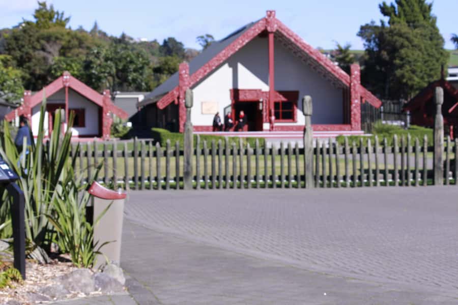 From Auckland: Day Trip to Rotorua with Optional extras - Return to Auckland or one-way finish in Rotorua