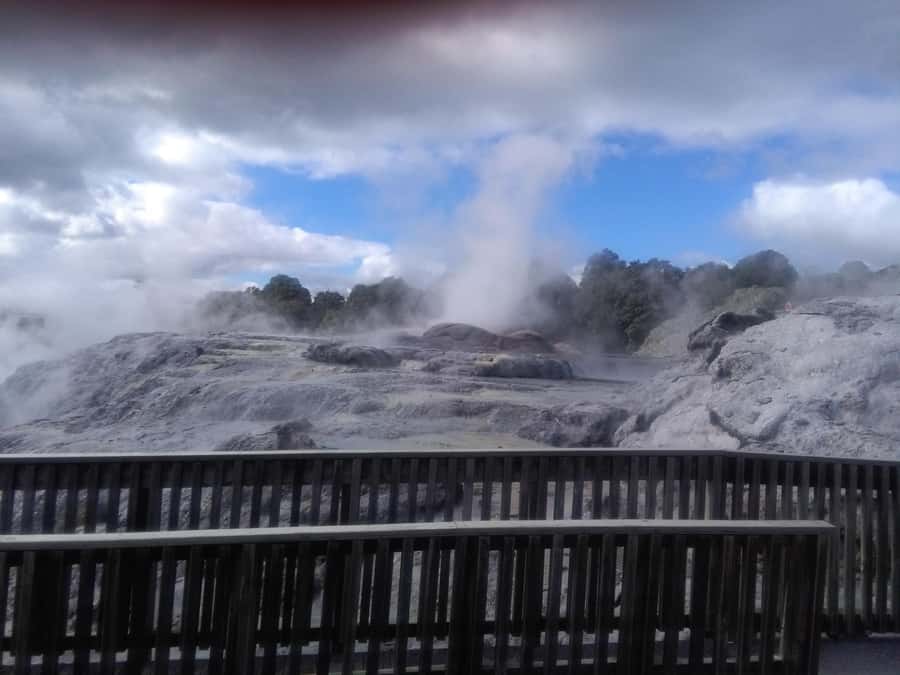 From Auckland: Day Trip to Rotorua with Optional extras - Pickup in Auckland, and what premium transport really changes