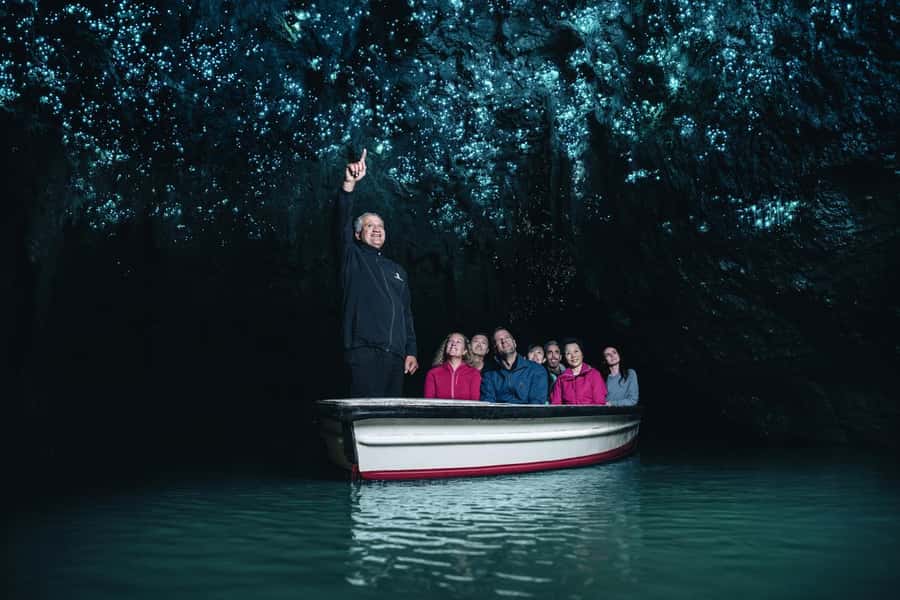 From Auckland: Day Trip to Waitomo Glow Worm Caves - Key things I’d zoom in on before booking