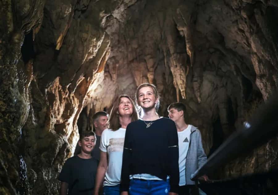 From Auckland: Day Trip to Waitomo Glow Worm Caves - Timing And The Real Value Of $166 Per Person
