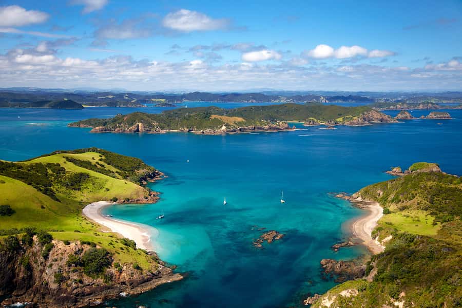From Auckland: Full Day Private Tour to the Bay of Islands - Key Highlights You Should Know