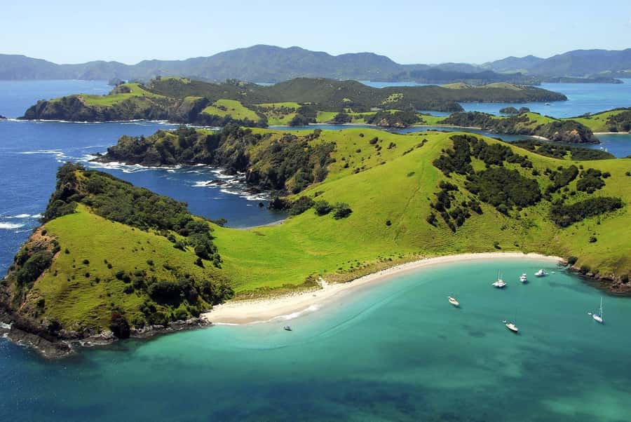 From Auckland: Full Day Private Tour to the Bay of Islands - A Bay of Islands Day That Feels Properly Planned