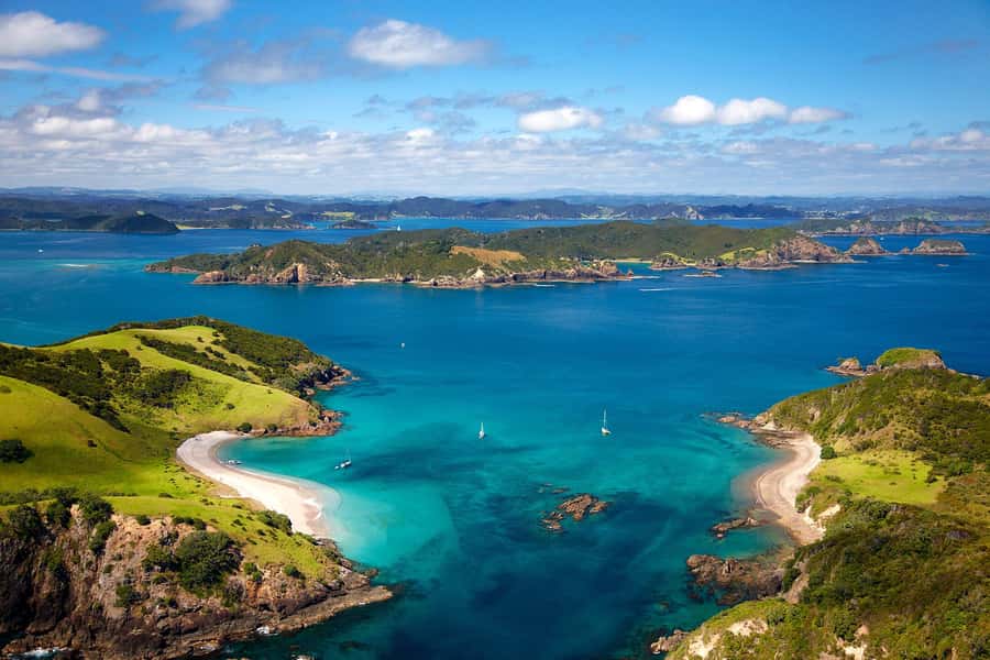 From Auckland: Full-Day Tour to the Bay of Islands - Auckland to Paihia: the long drive part (and how to make it fun)