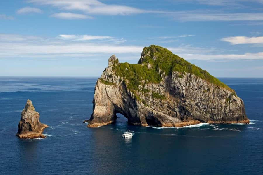 From Auckland: Full-Day Tour to the Bay of Islands - Urupukapuka Island stop: beaches, swimming, and a quick summit option