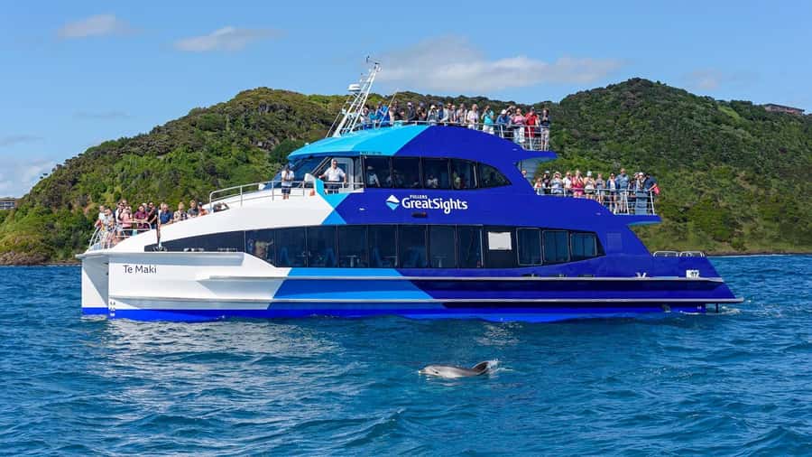 From Auckland: Full-Day Tour to the Bay of Islands - Lunch and downtime: how to handle the short breaks