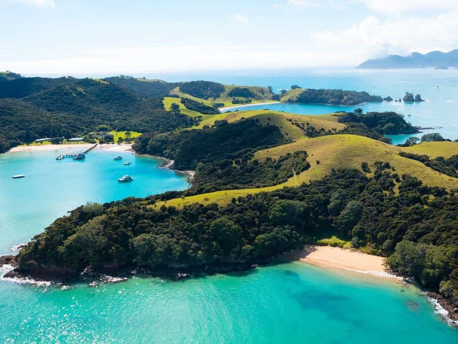 From Auckland: Full-Day Tour to the Bay of Islands - The history you actually remember: Maori settlement context