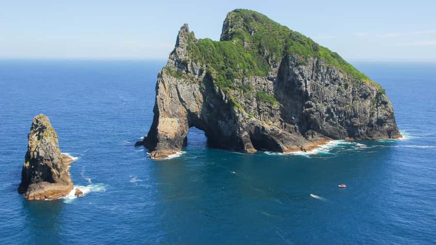 From Auckland: Full-Day Tour to the Bay of Islands - Price and value: what $274 covers, and what you still pay